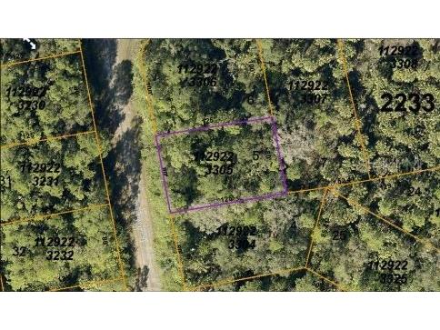 Havemeyer Street North Port FL 34288 O6186812 image4