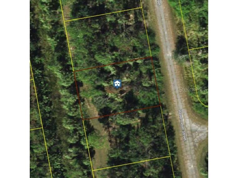 Havemeyer Street North Port FL 34288 TB8502152 image2