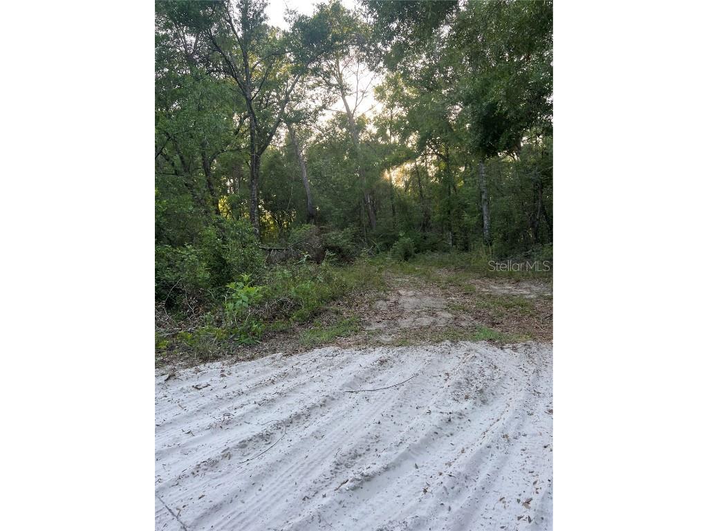 Havenwoods Road Spring Hill FL 34610 W7874738 image1