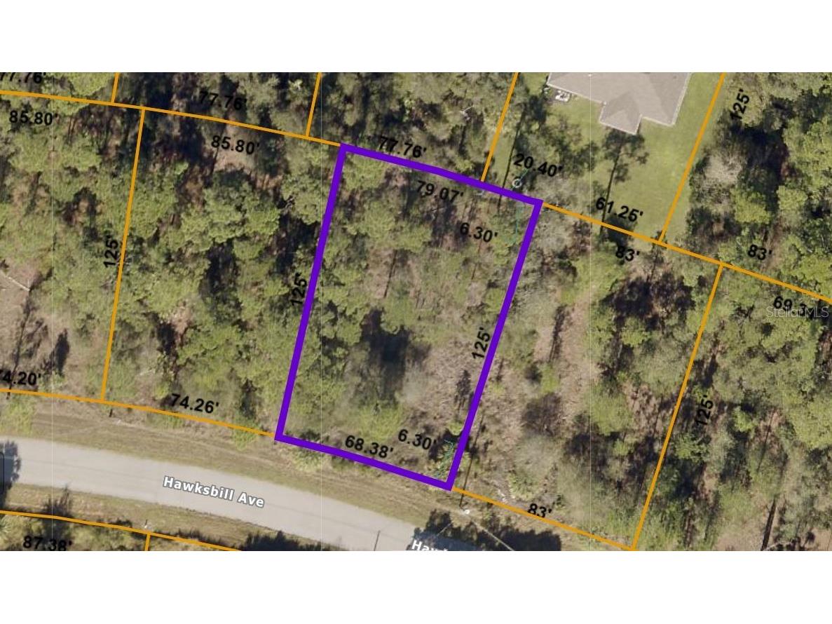 Hawksbill Avenue North Port FL 34291 C7453018 image1