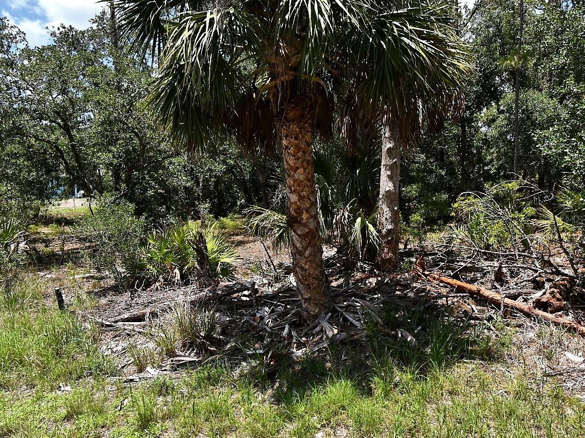 Hawksbill Avenue North Port FL 34291 O6405176 image1