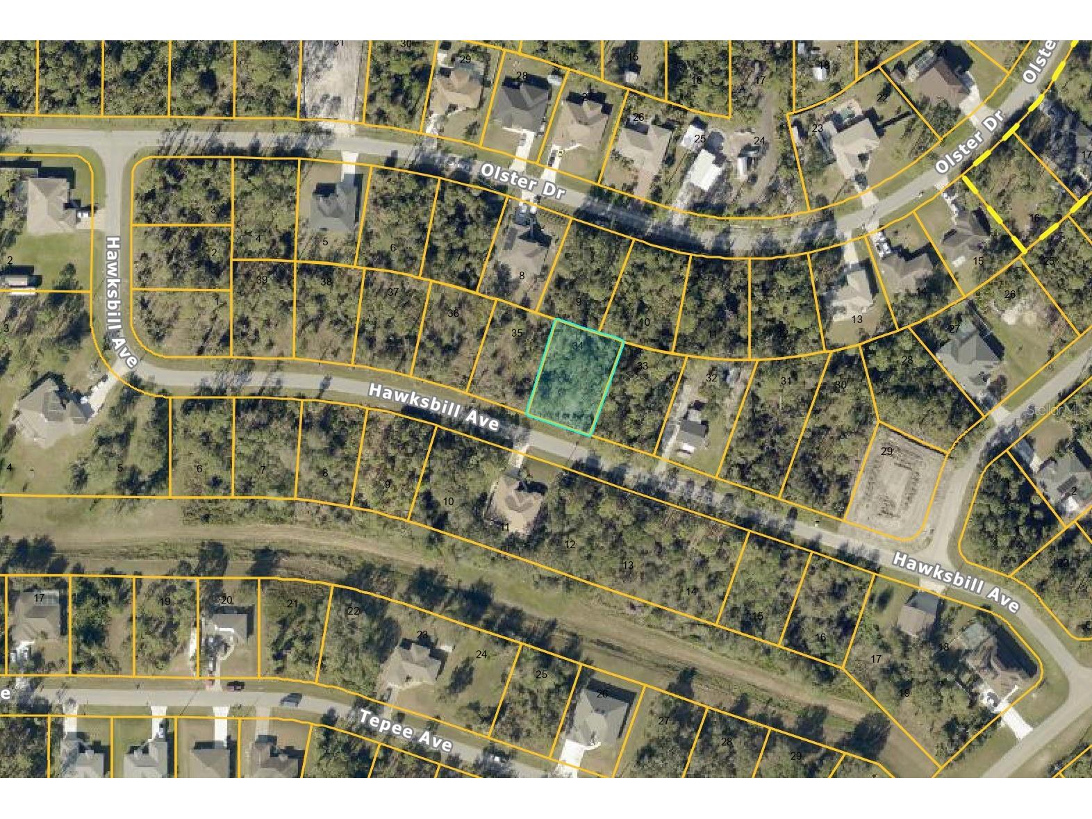 Hawksbill Avenue North Port FL 34291 O6405176 image3