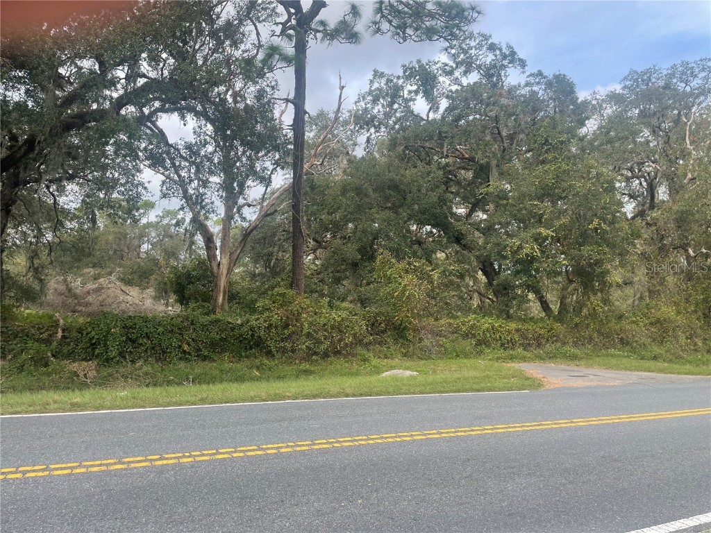 Hayes Road Bushnell FL 33513 TB8315632 image1