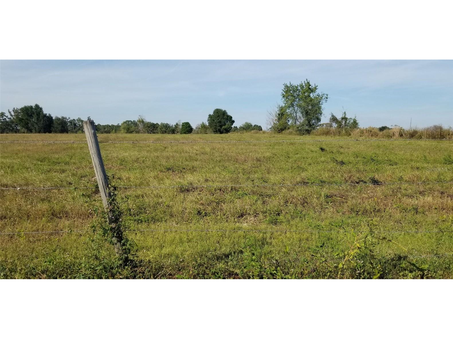 Hayman Road Brooksville FL 34602 TB8442335 image2