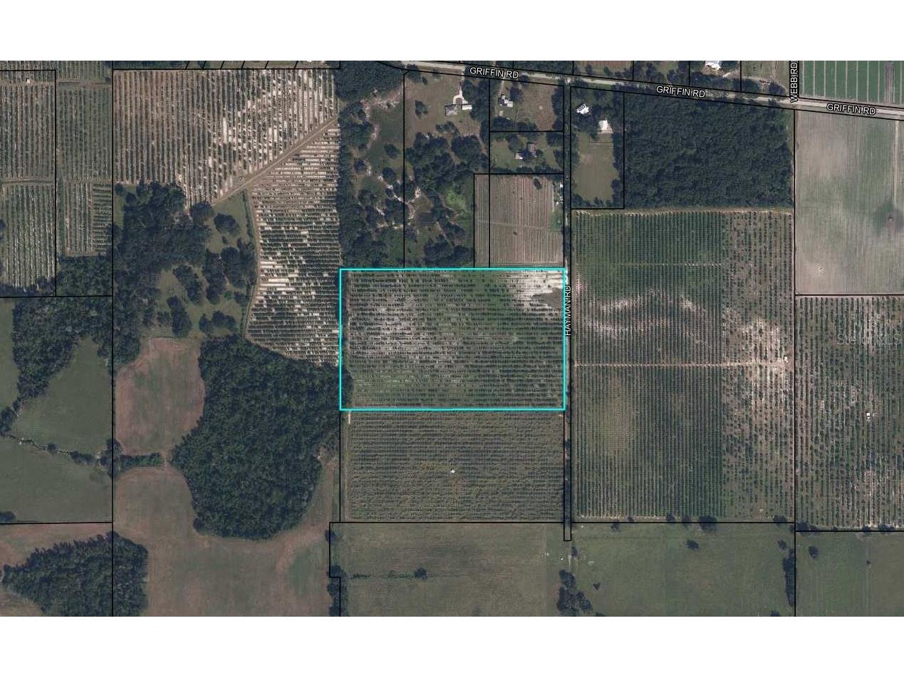 Hayman Road Wauchula FL 33873 L4963209 image1