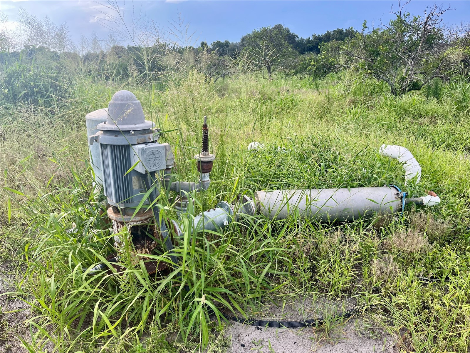 Hayman Road Wauchula FL 33873 L4963209 image4