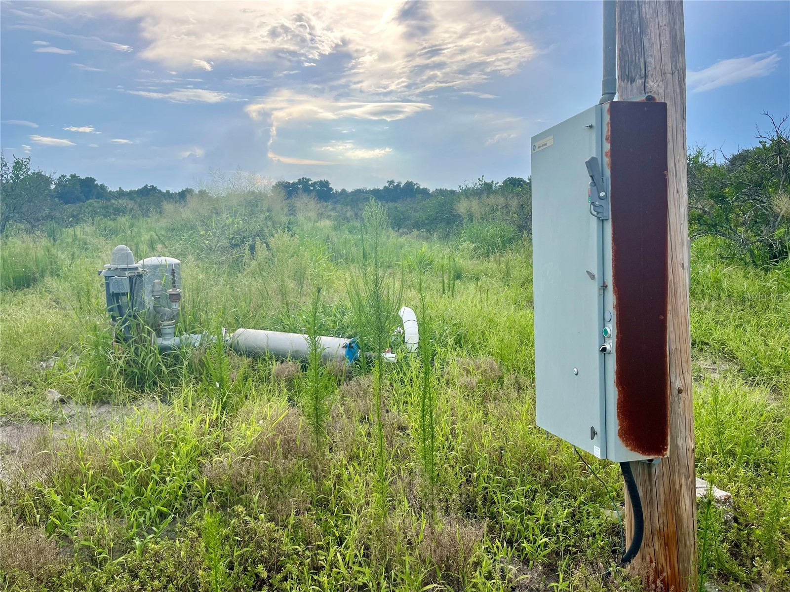 Hayman Road Wauchula FL 33873 L4963209 image5