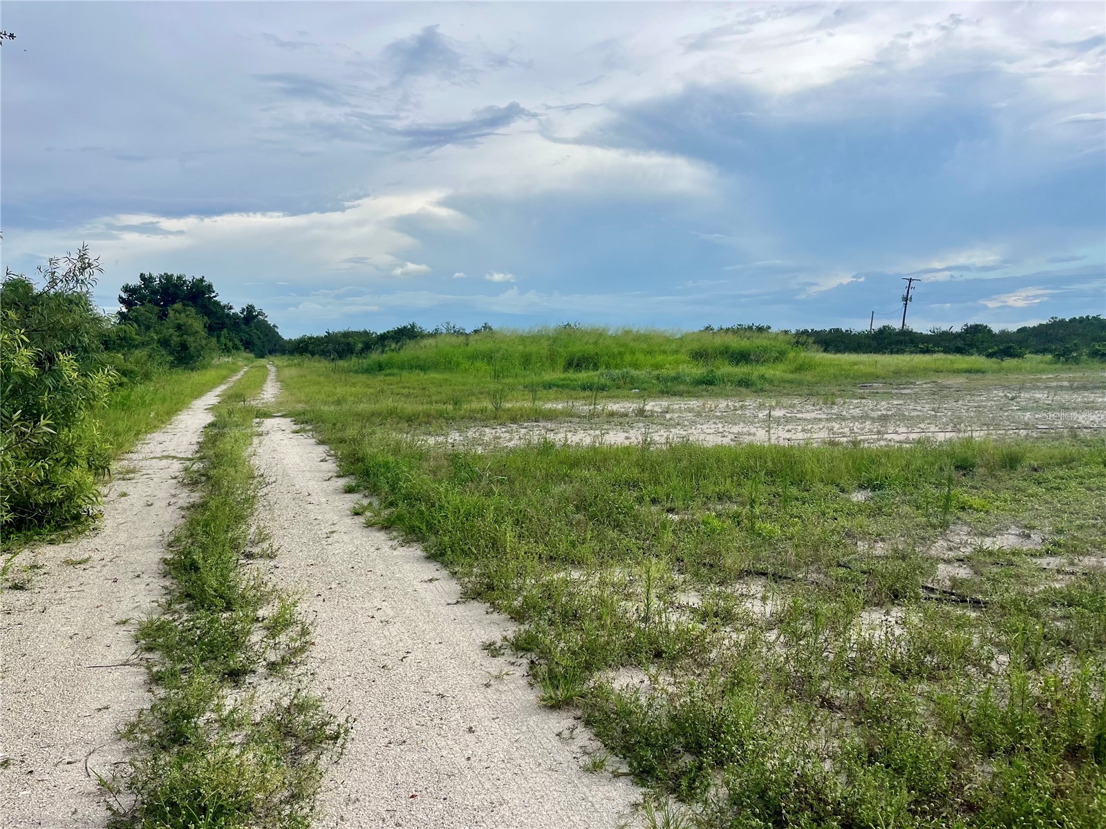 Hayman Road Wauchula FL 33873 L4963209 image6