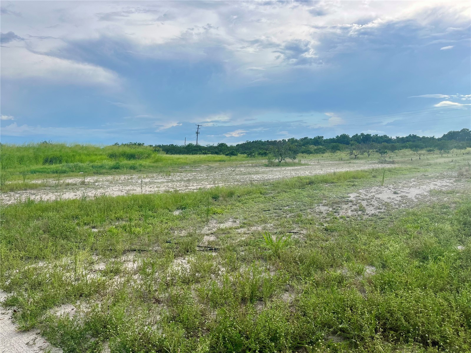 Hayman Road Wauchula FL 33873 L4963209 image7