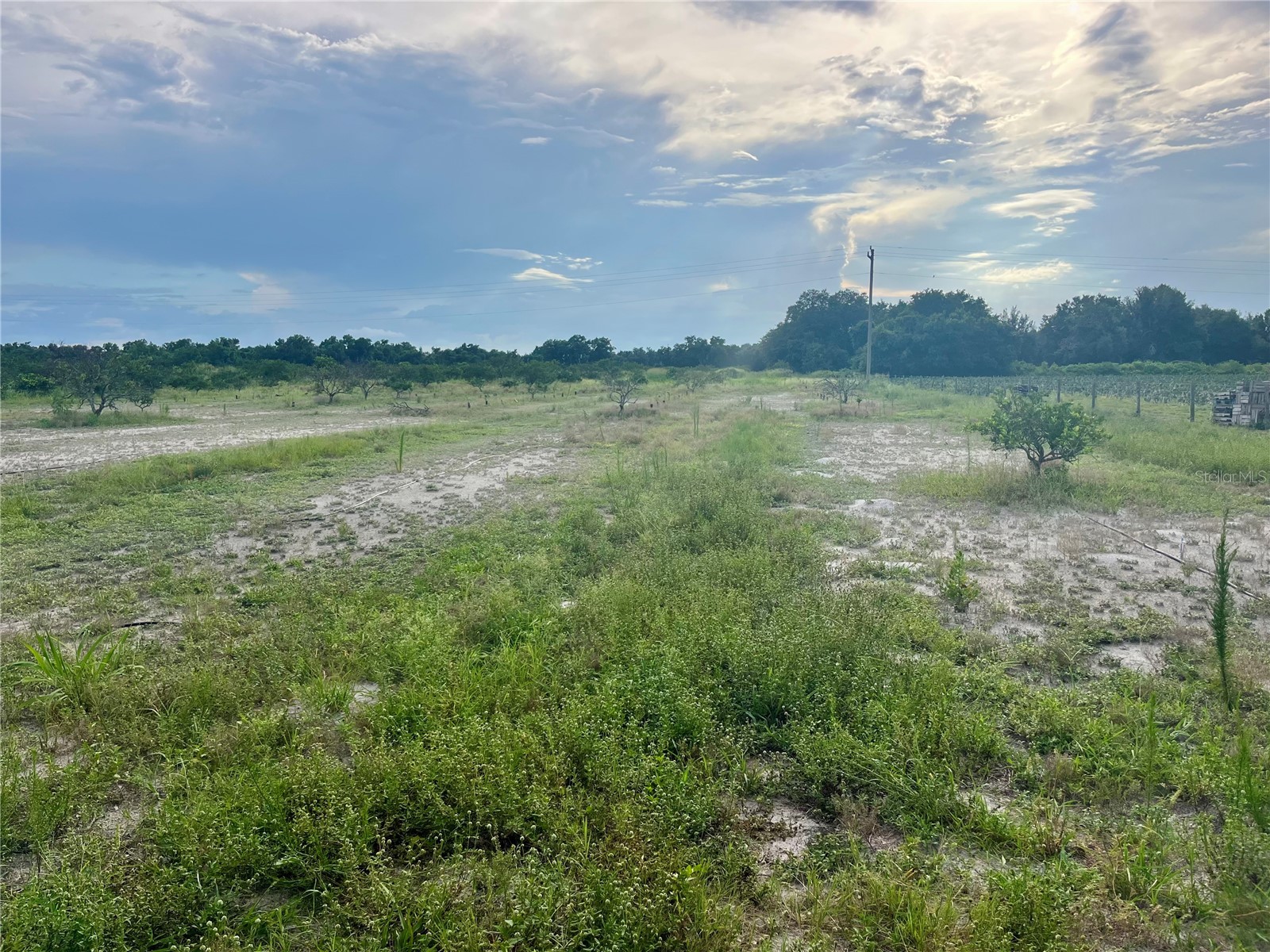 Hayman Road Wauchula FL 33873 L4963209 image8