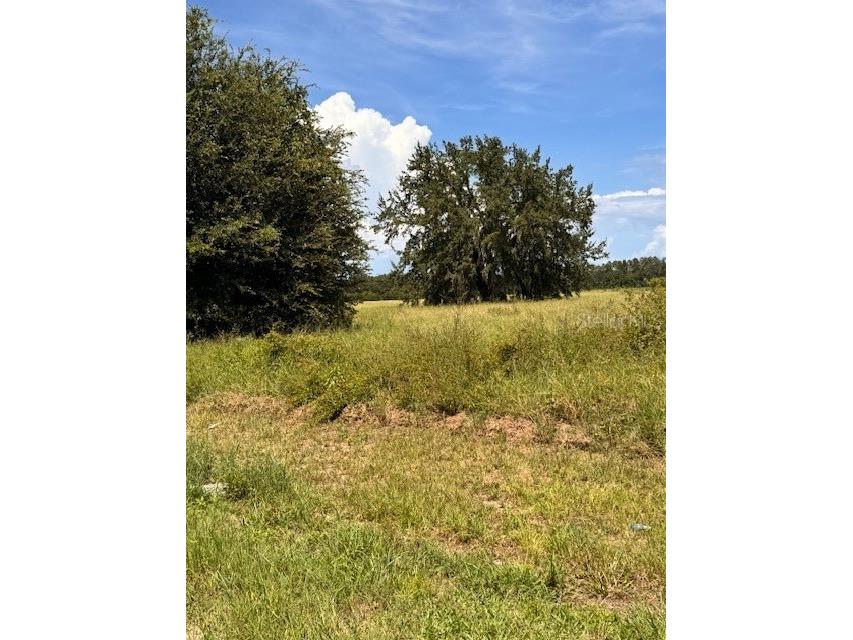 Haywood Worm Farm Road Leesburg FL 34748 G5102141 image10