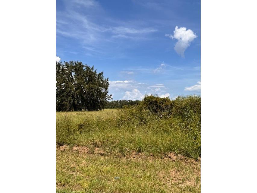 Haywood Worm Farm Road Leesburg FL 34748 G5102141 image9