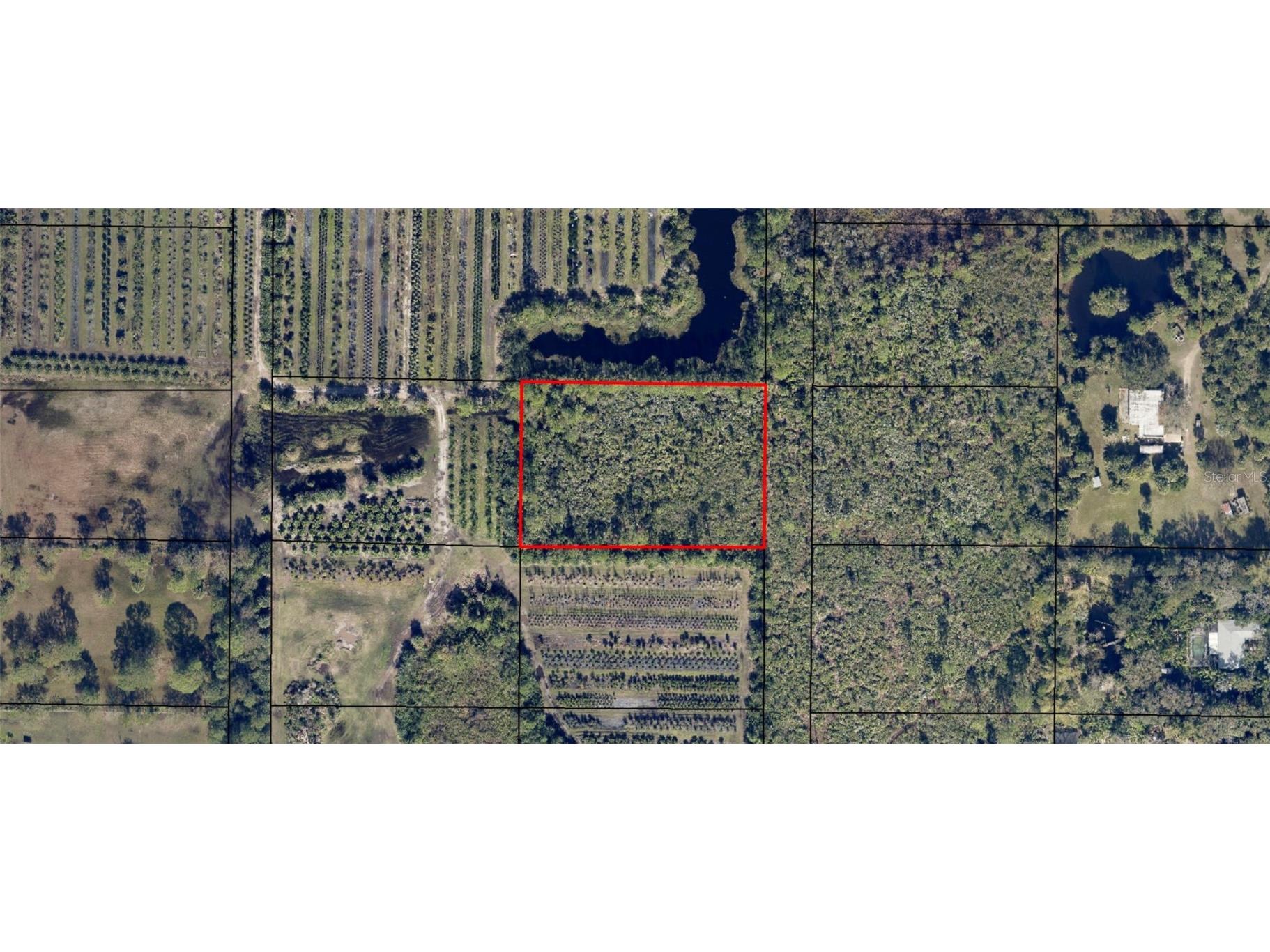 Hazel Lane Malabar FL 32950 A4640590 image3