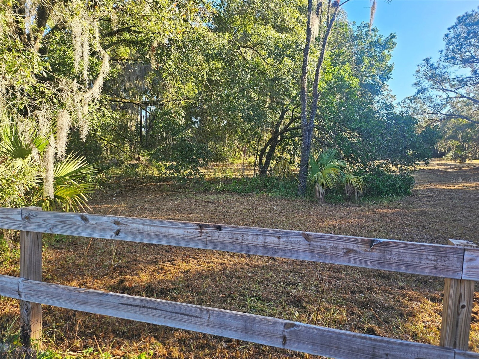 Hazen Road Deland FL 32724 V4946241 image4