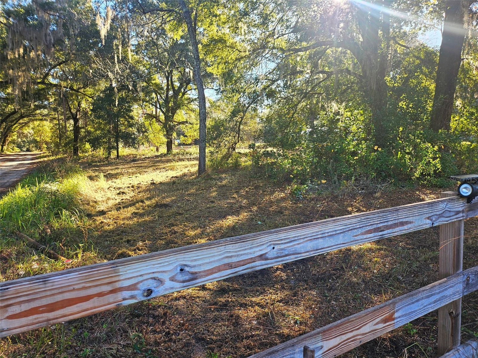 Hazen Road Deland FL 32724 V4946241 image5