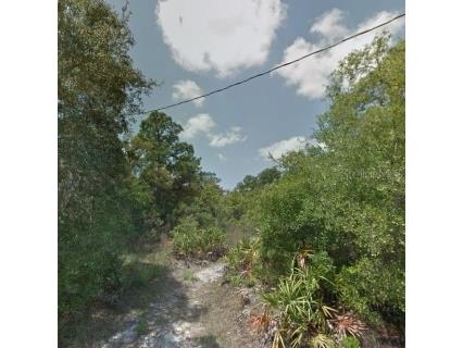 Hedges Street New Port Richey FL 34654 W7880403 image1