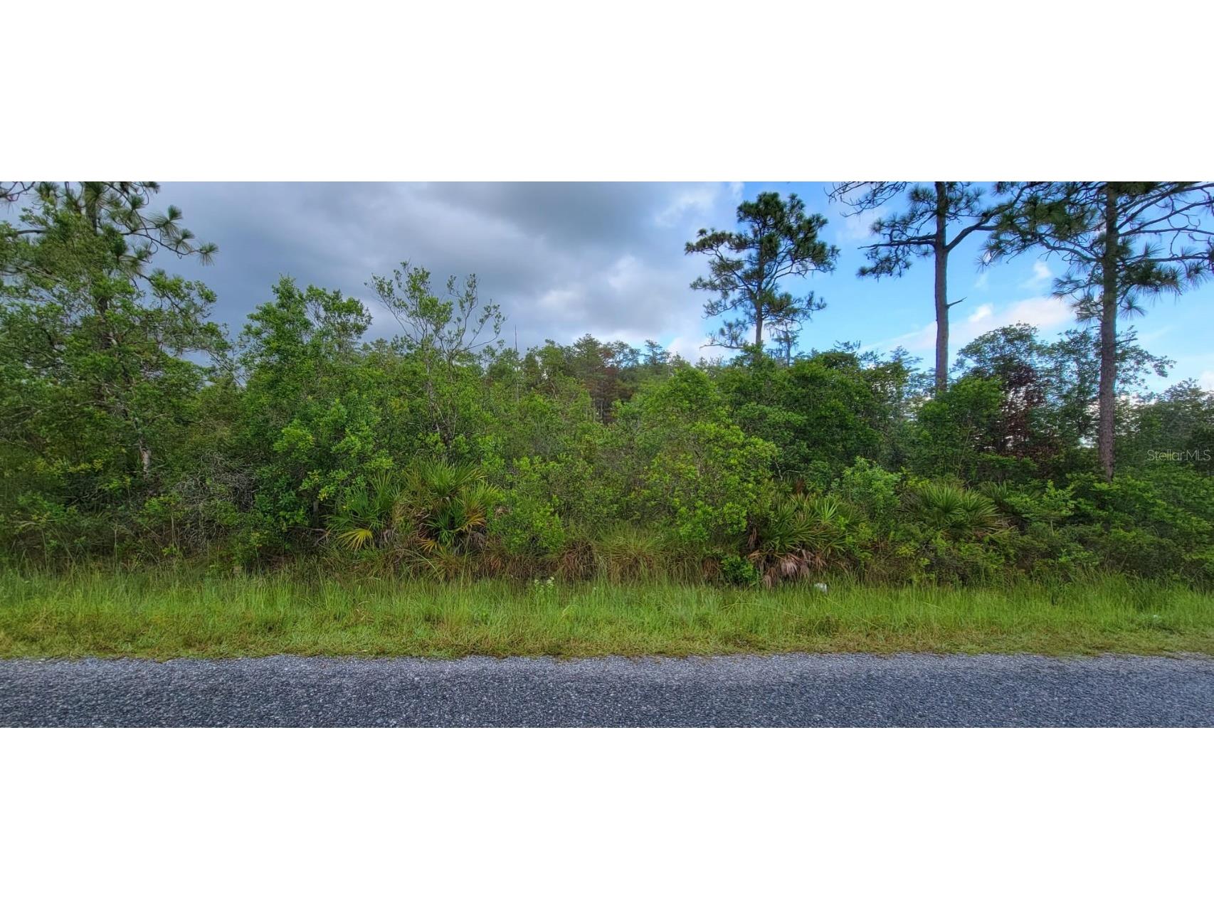 Helena Drive Saint Cloud FL 34773 S5071734 image1