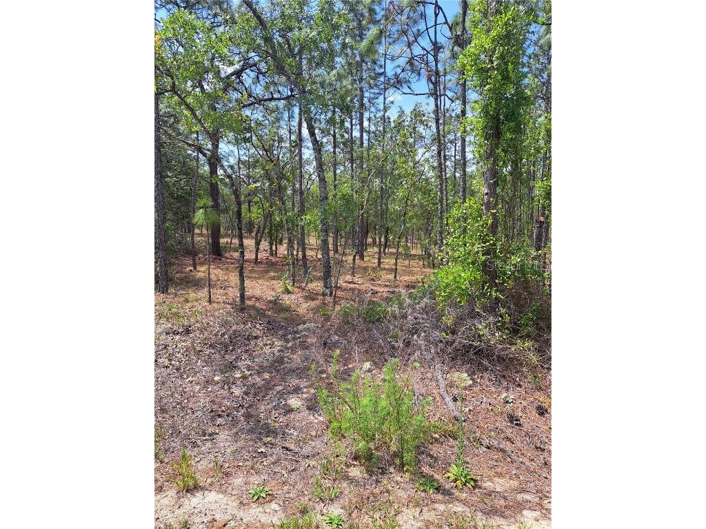 Hemlock Avenue NW Dunnellon FL 34431 G5096728 image1