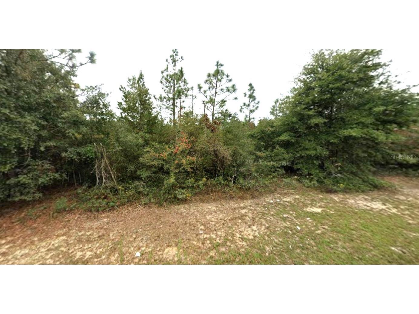 Hemlock Circle Chipley FL 32428 O6396935 image5