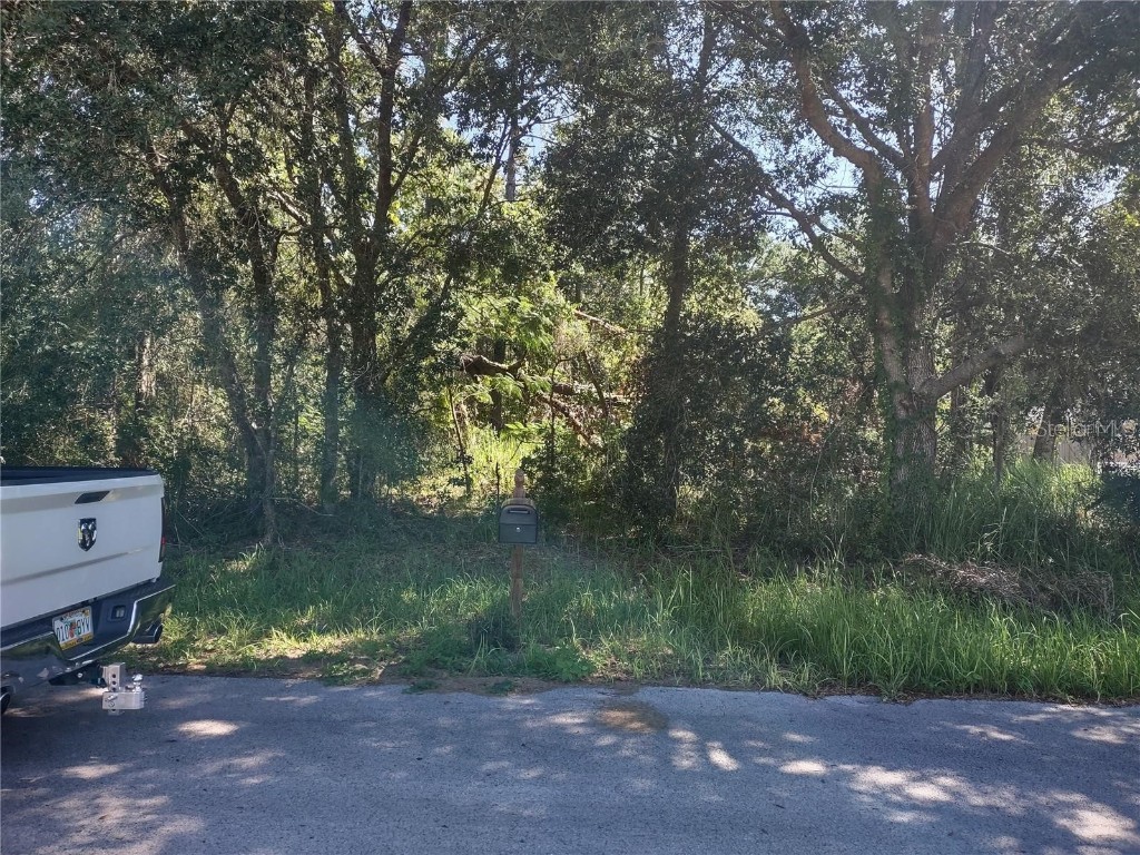 Hemlock Course Ocala FL 34472 OM672523 image1