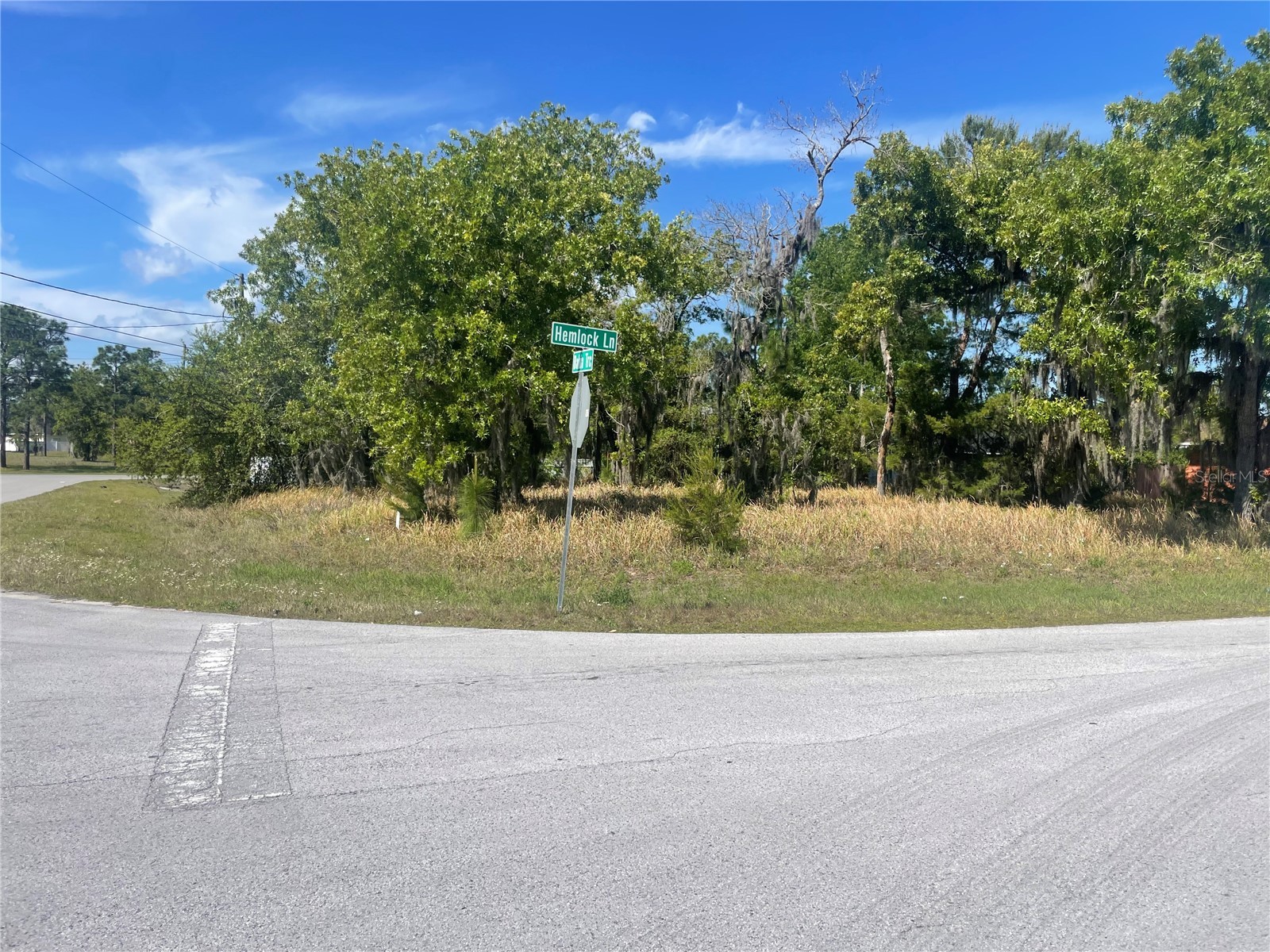 Hemlock Lane Ocala FL 34472 OM723016 image1