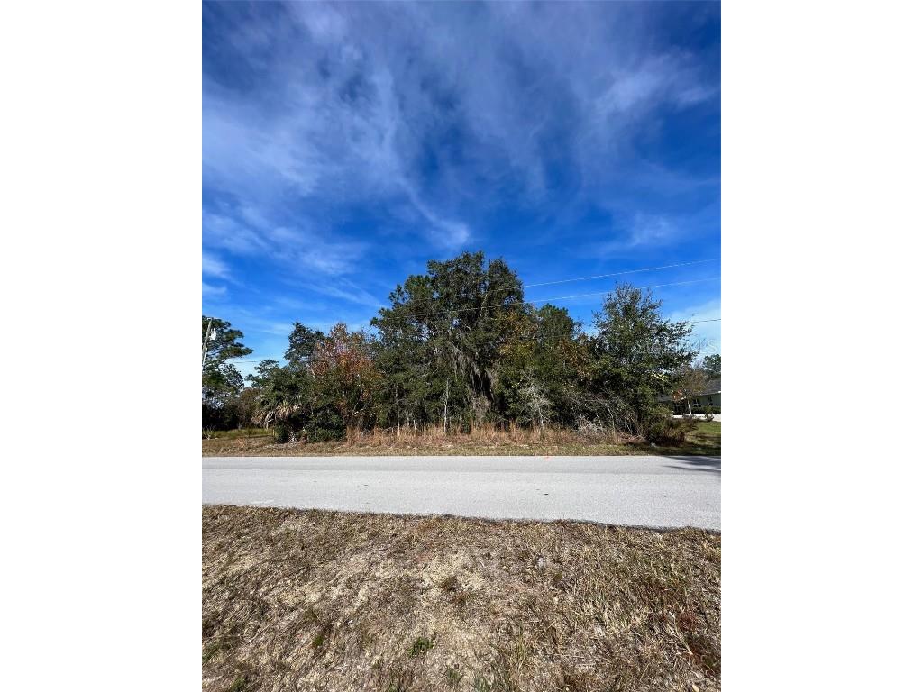 Hemlock Road Ocala FL 34472 S5108696 image1