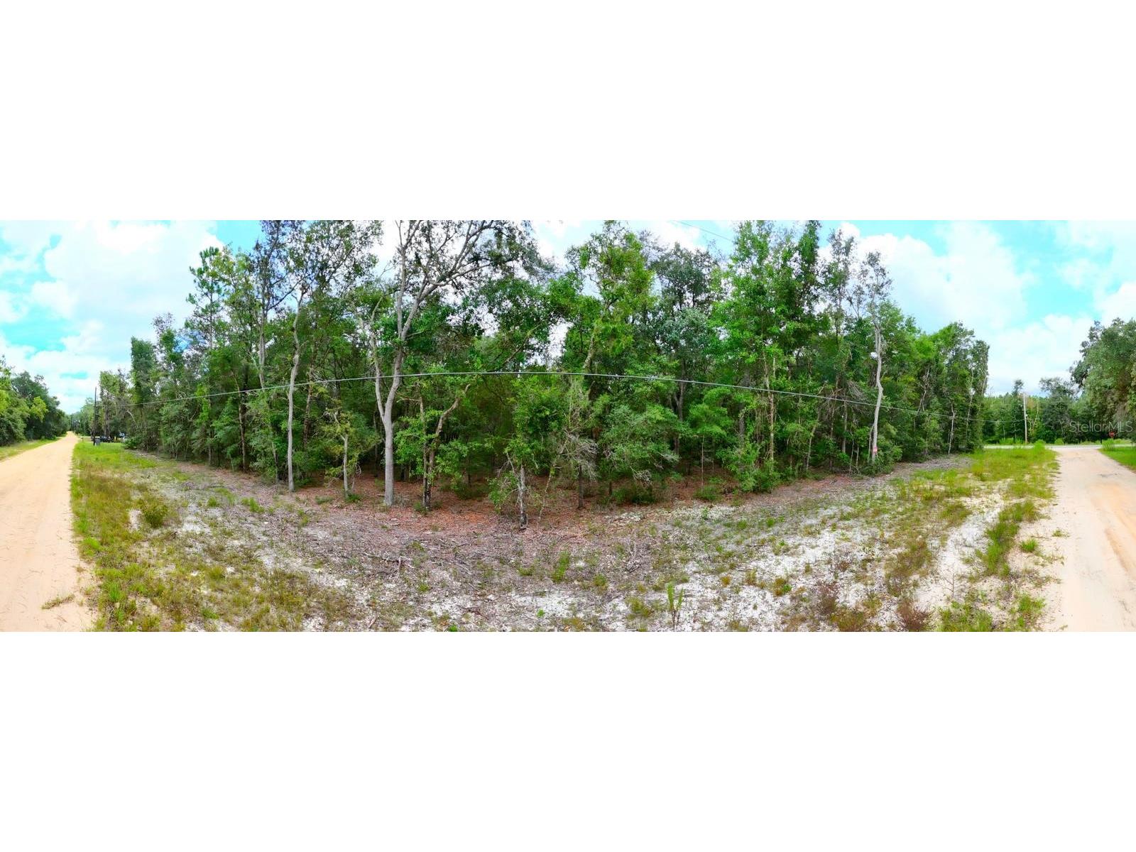 Hemlock Street Interlachen FL 32148 W7878443 image3