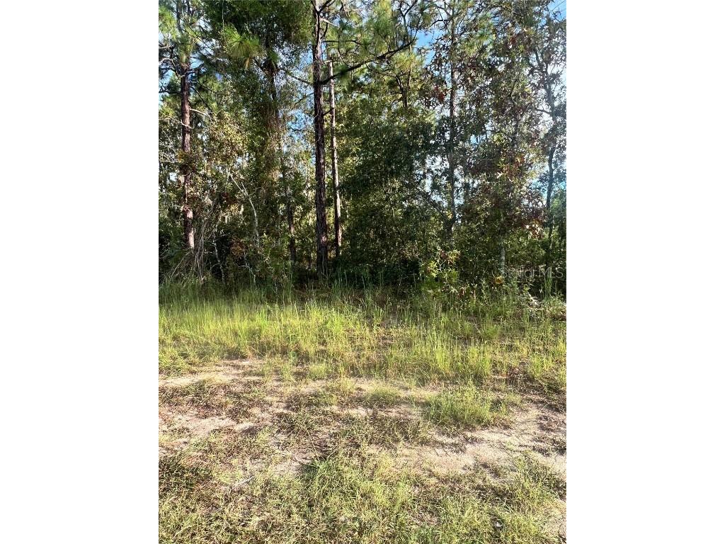Hemlock Trl Ocala FL 34472 OM710410 image1
