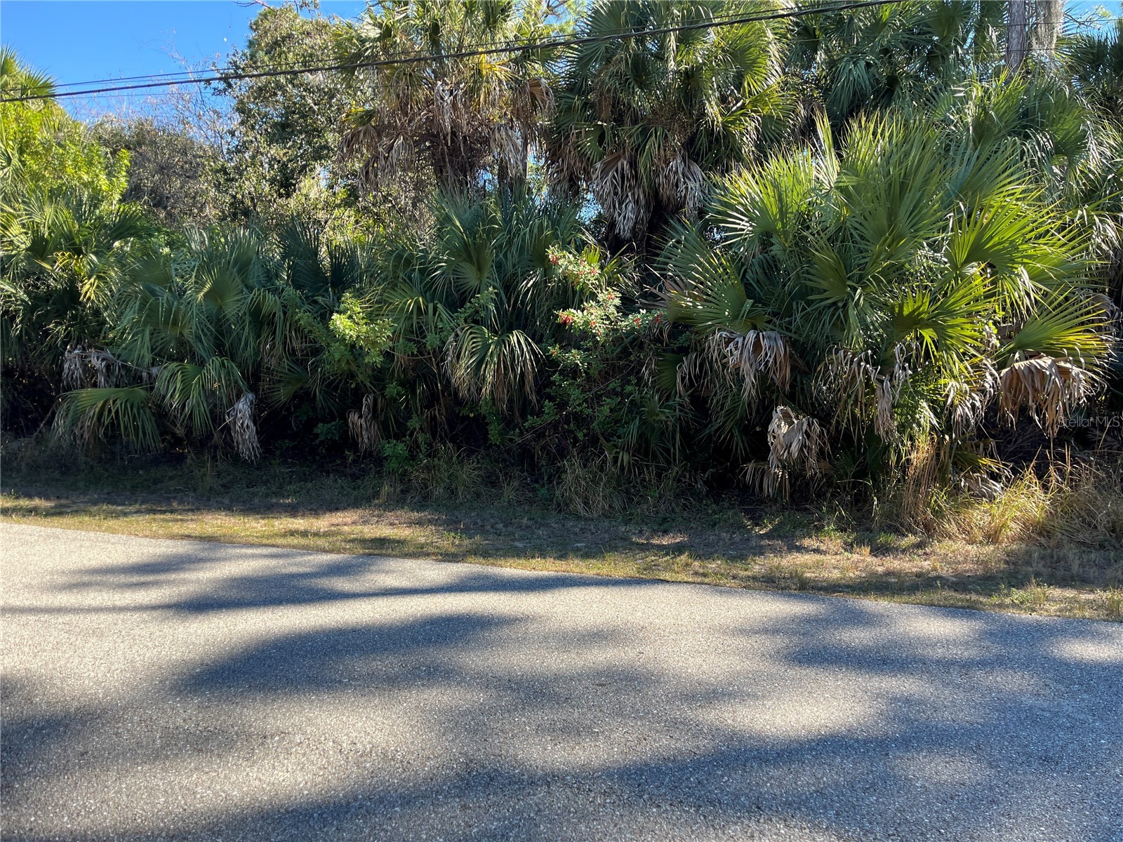 Henderson Ln North Port FL 34286 O6157278 image1