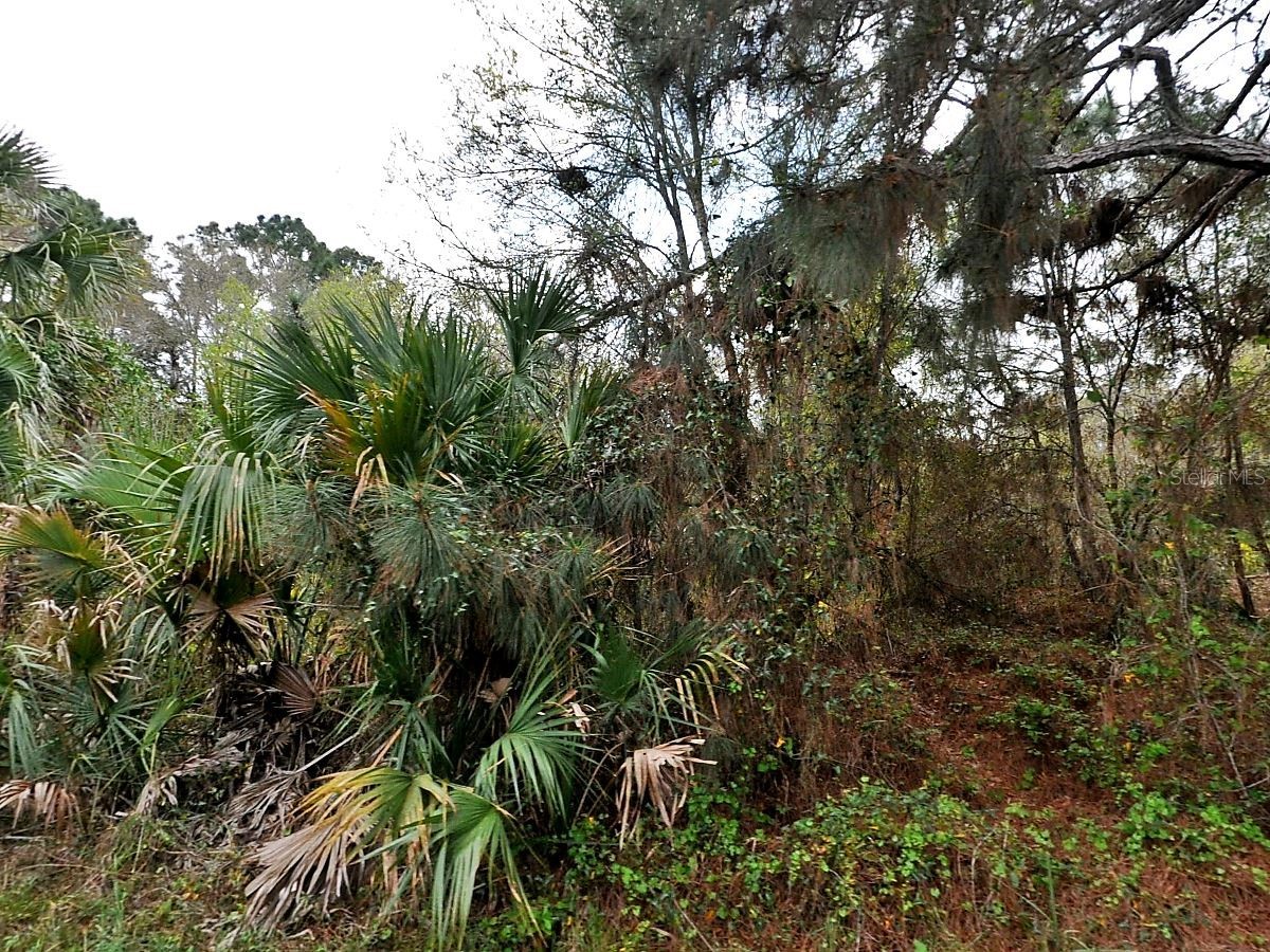 Henning Street North Port FL 34288 A4696040 image1
