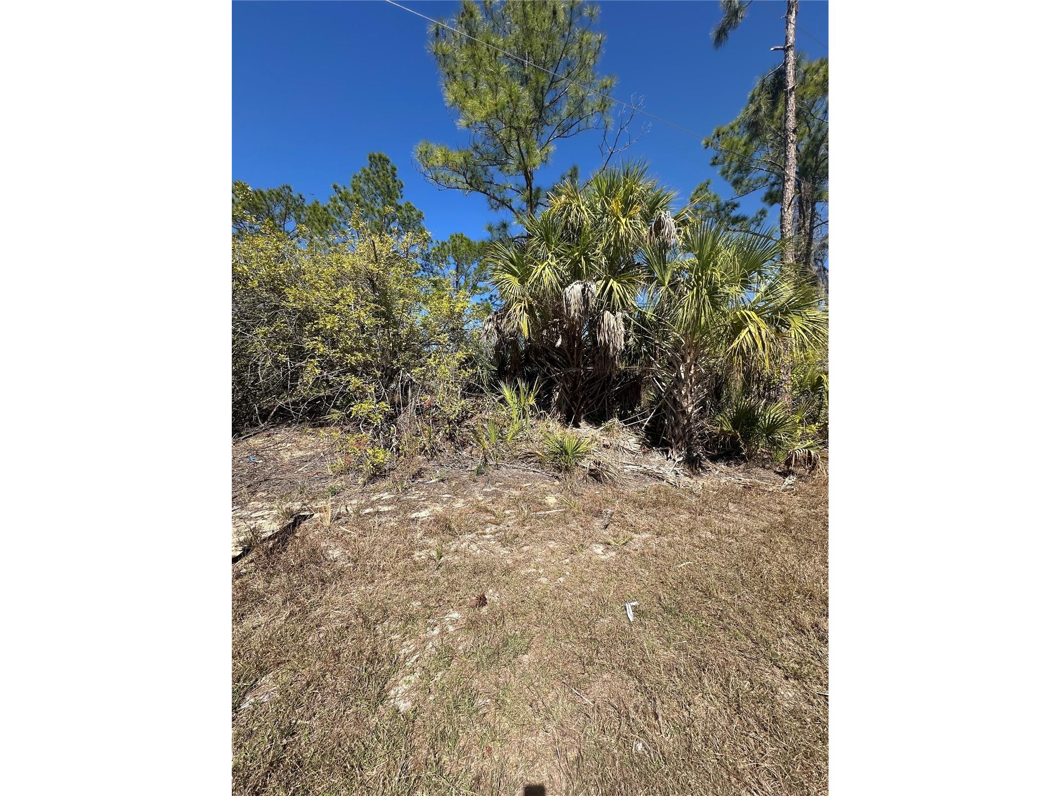 Henning Street North Port FL 34288 C7522339 image1