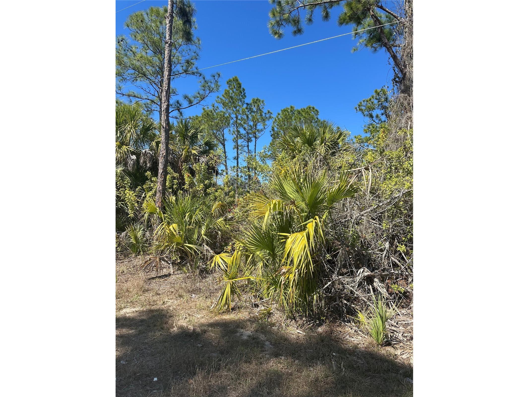 Henning Street North Port FL 34288 C7522339 image2