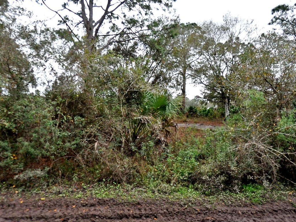 Henrietta Avenue North Port FL 34291 N6139884 image1