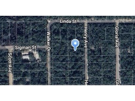 Henry Avenue Interlachen FL 32148 OM697044 image1
