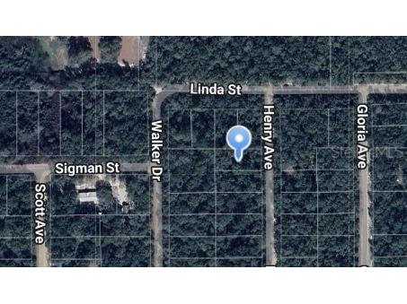 Henry Avenue Interlachen FL 32148 OM697050 image1