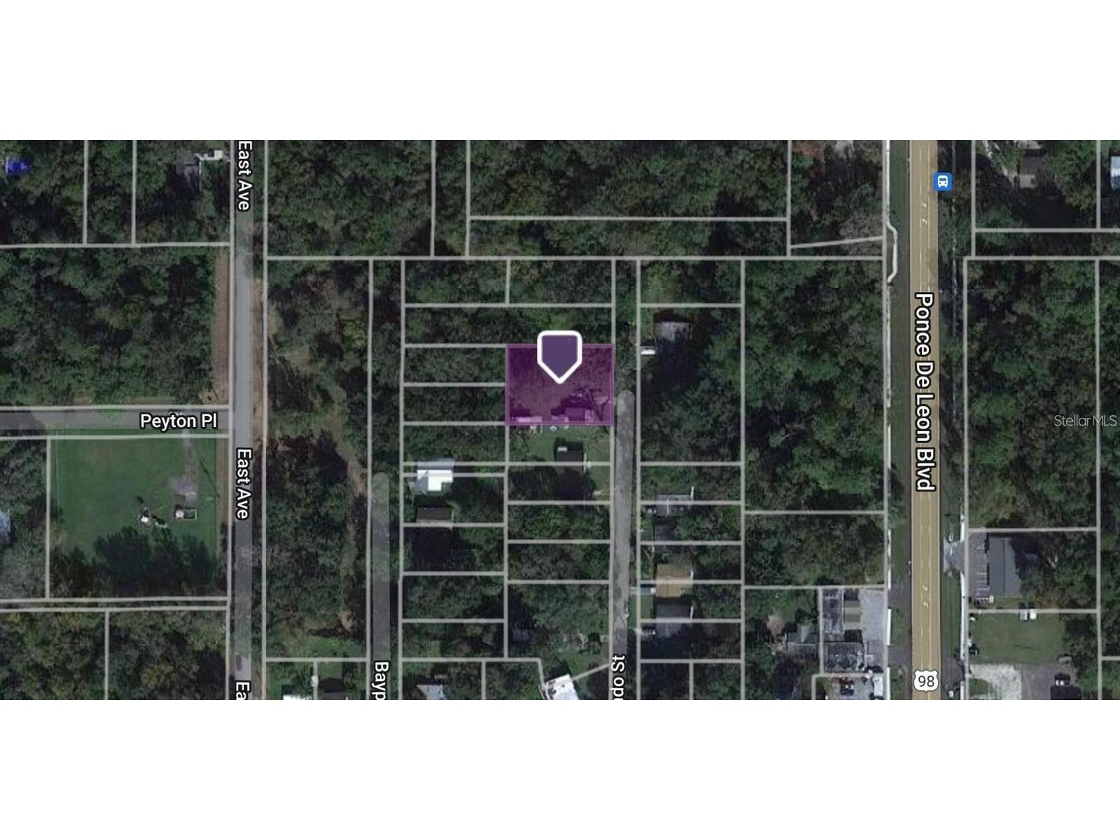 Hernando Street Brooksville FL 34601 C7517484 image1