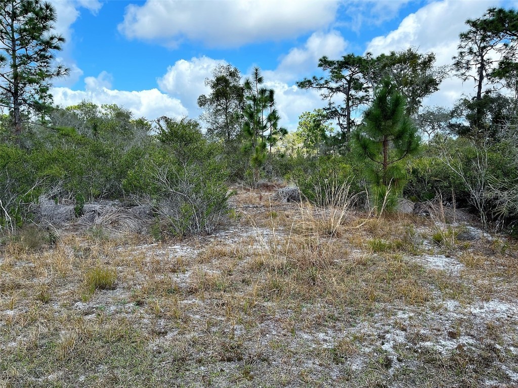 Hibiscus Drive Indian Lake Estates FL 33855 - LAKE WALK IN WATER P4919471 image1