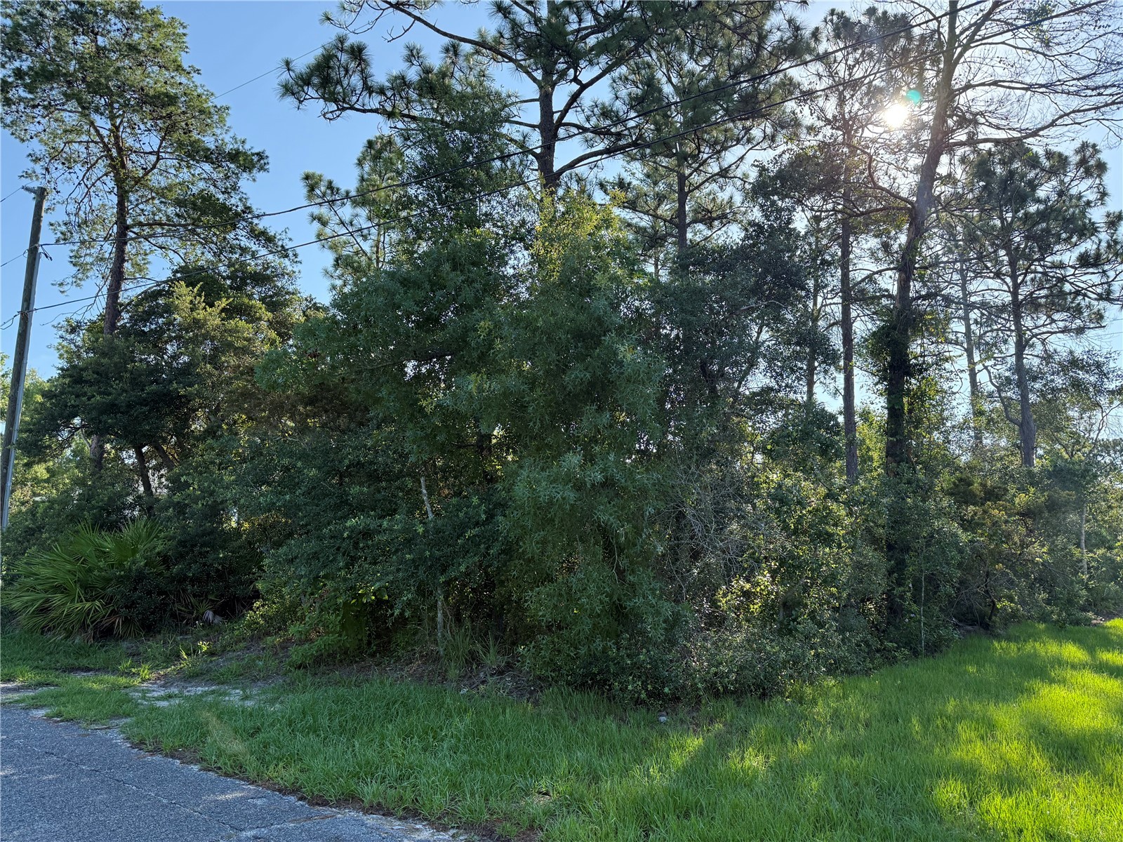 Hickory Avenue Orange City FL 32763 V4950019 image1