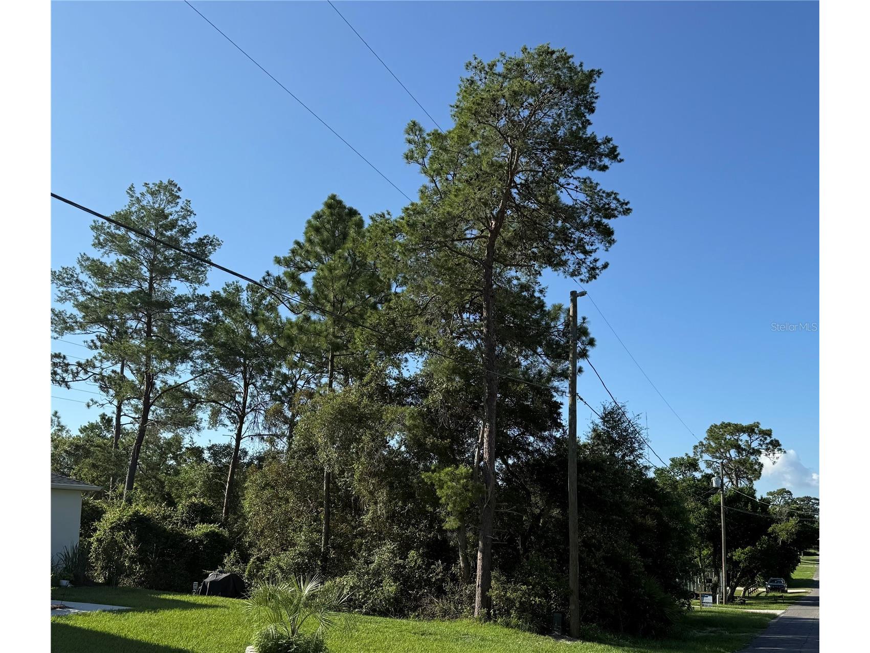 Hickory Avenue Orange City FL 32763 V4950019 image2