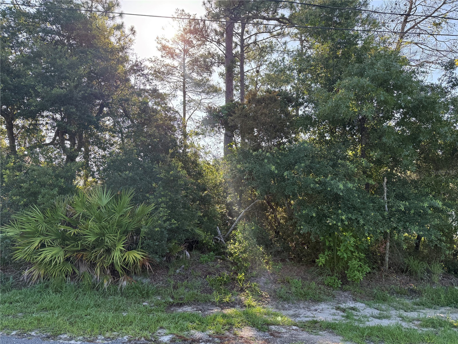 Hickory Avenue Orange City FL 32763 V4950019 image3
