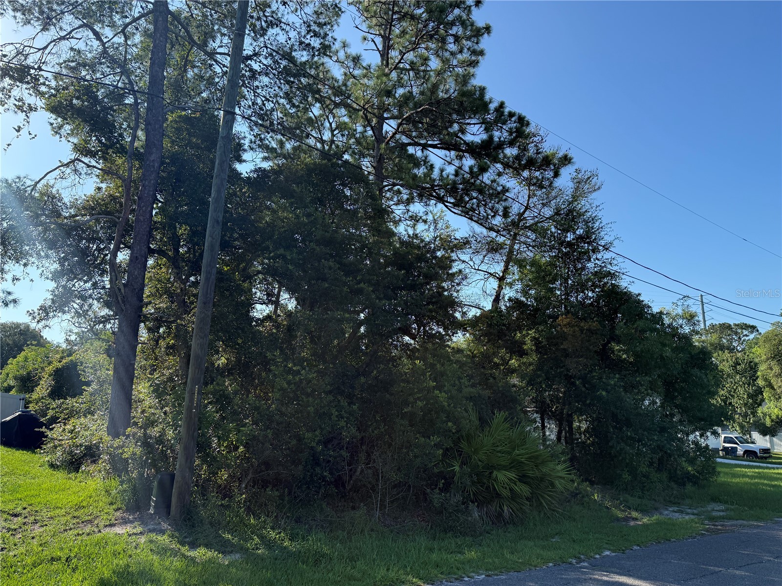 Hickory Avenue Orange City FL 32763 V4950019 image4