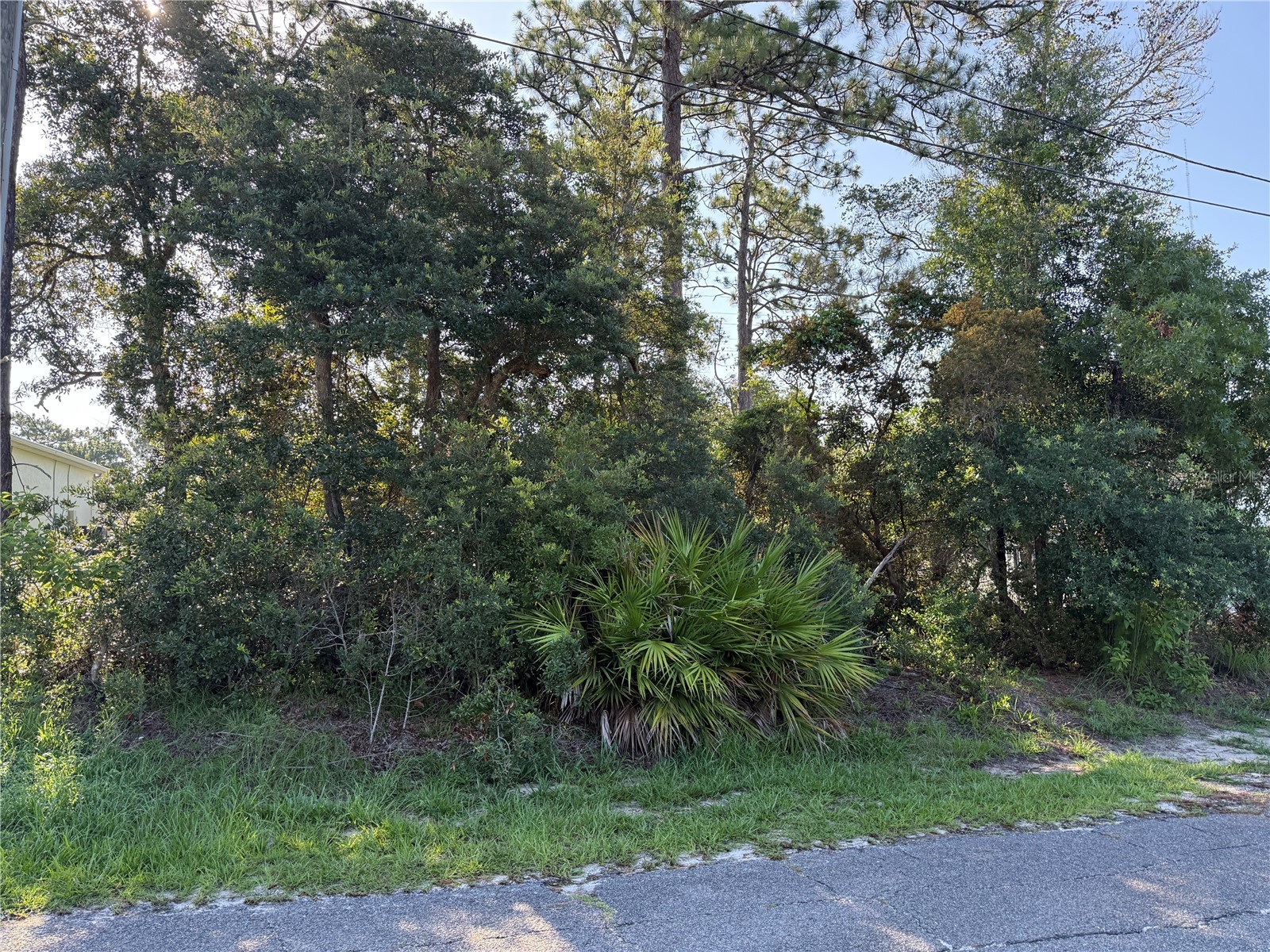 Hickory Avenue Orange City FL 32763 V4950019 image5