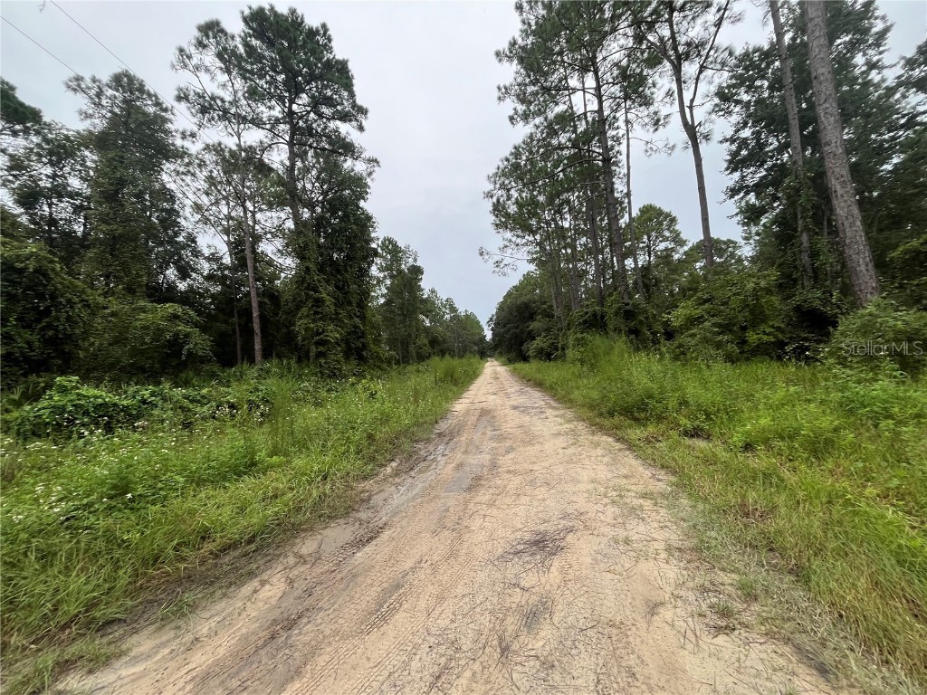 Hickory Nut Trail Satsuma FL 32189 OK225490 image5