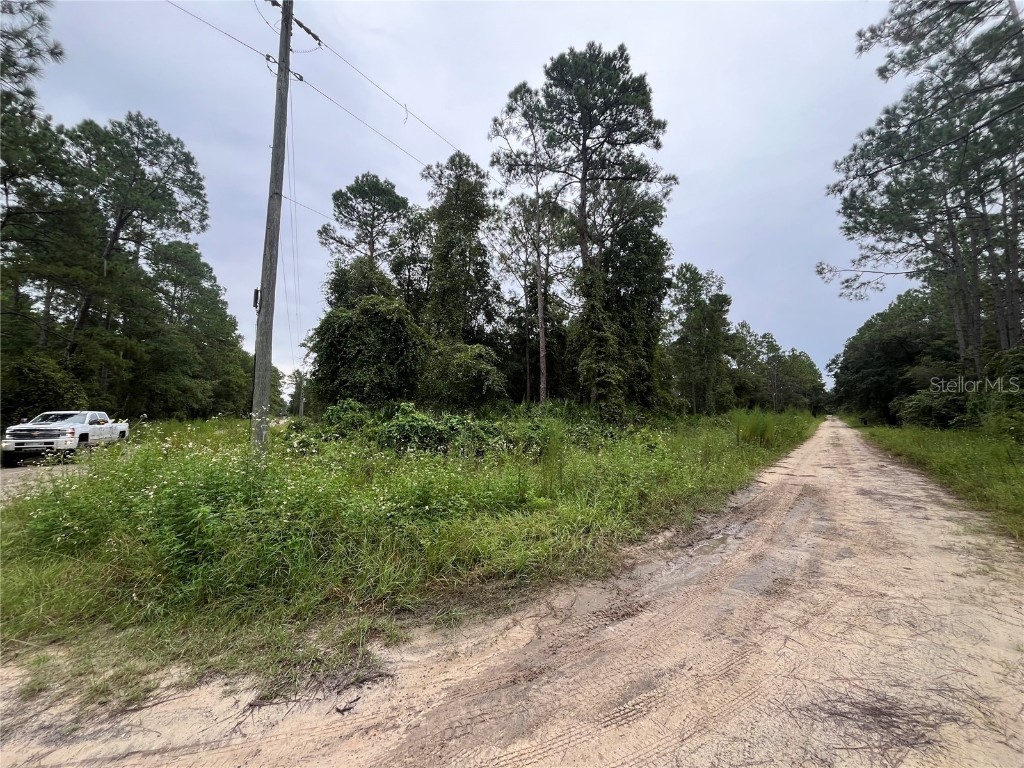 Hickory Nut Trail Satsuma FL 32189 OK225490 image6