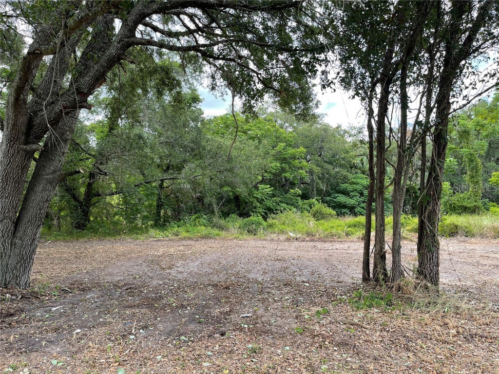 Hicks Hudson FL 34669 W7829889 image1