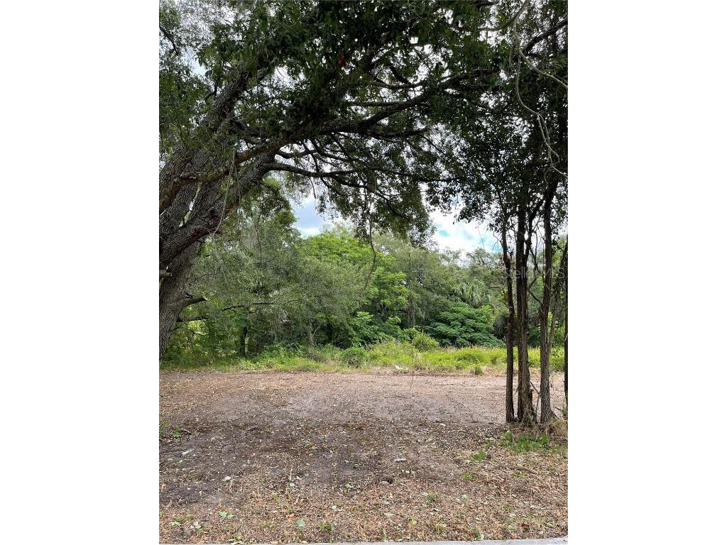 Hicks Hudson FL 34669 W7829891 image1