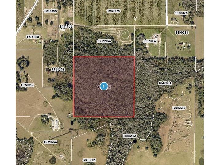Hidden Grove Road Clermont FL 34711 O6393518 image1