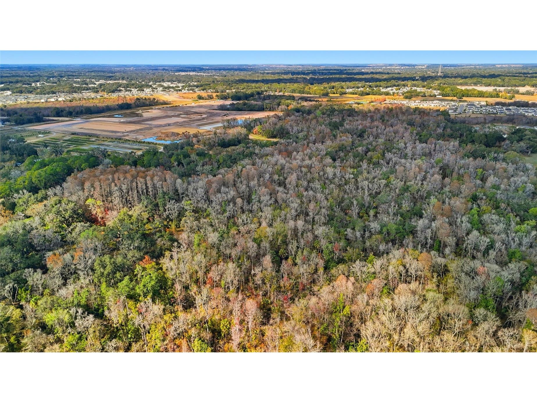 Higginson Road Zephyrhills FL 33540 TB8468267 image11