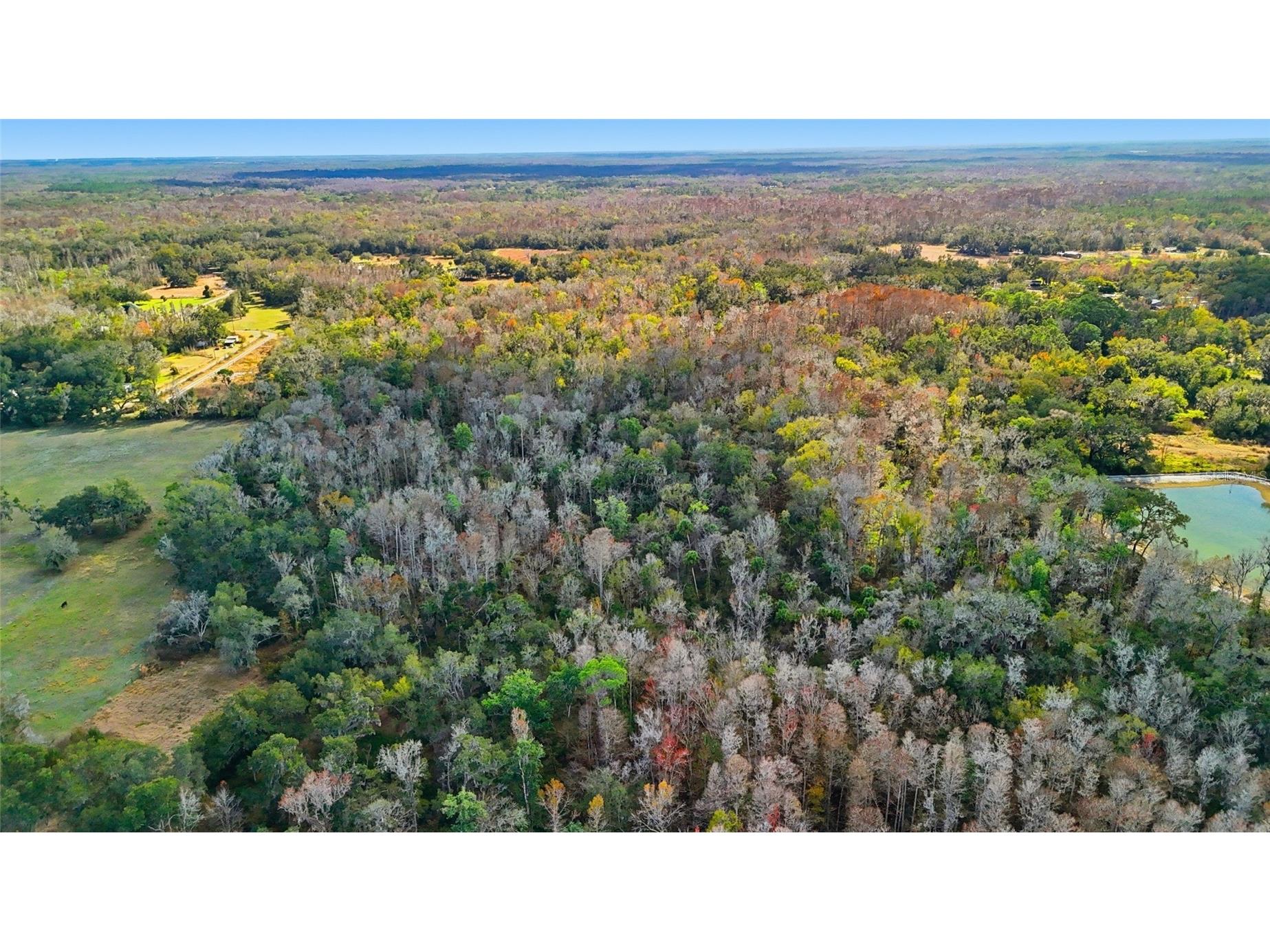 Higginson Road Zephyrhills FL 33540 TB8468267 image12