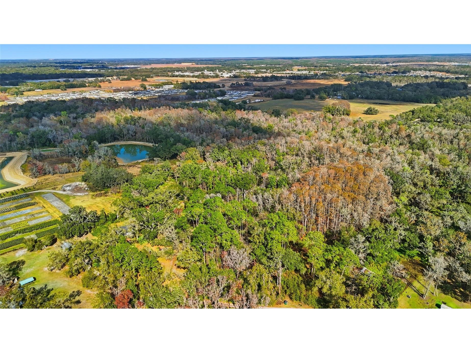 Higginson Road Zephyrhills FL 33540 TB8468267 image7